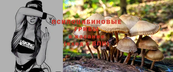 mdma Бородино